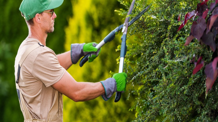 Why Hiring a Local Landscaper in Calgary is the Best Choice for Your Garden